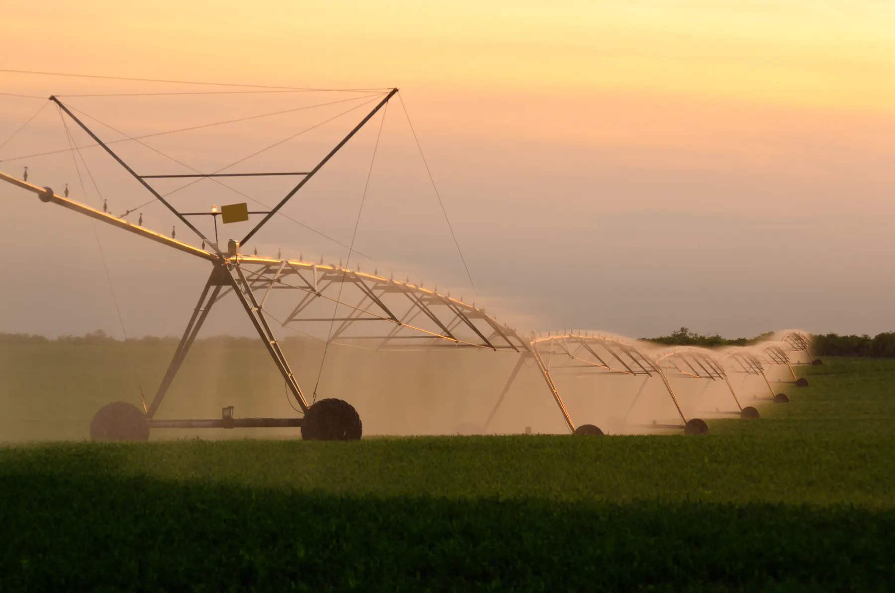 Large-scale irrigation system watering agricultural land at sunset
